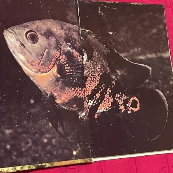 GUC OSCARS BOOK ~ CARING FOR & HOUSING INFO FISH KEEPING HOBBYIST / HOBBY ~ TFH - Picture 4 of 9